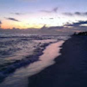 Meet your Posher, Willie